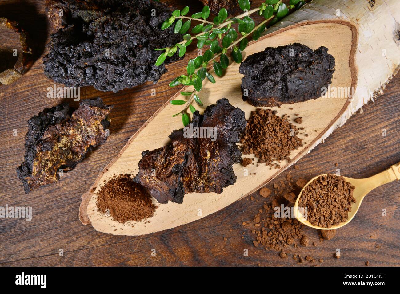 Chaga Mushroom auf einem Holztisch - Gesunde Ernährung Stockfoto