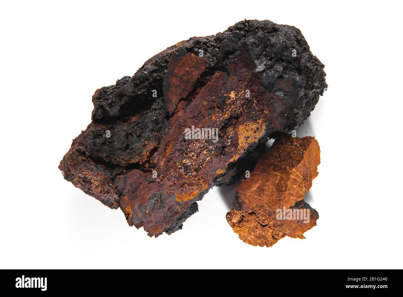 Chaga Mushroom mit Isolierten Stücken - Natürliche Mineralien Stockfoto