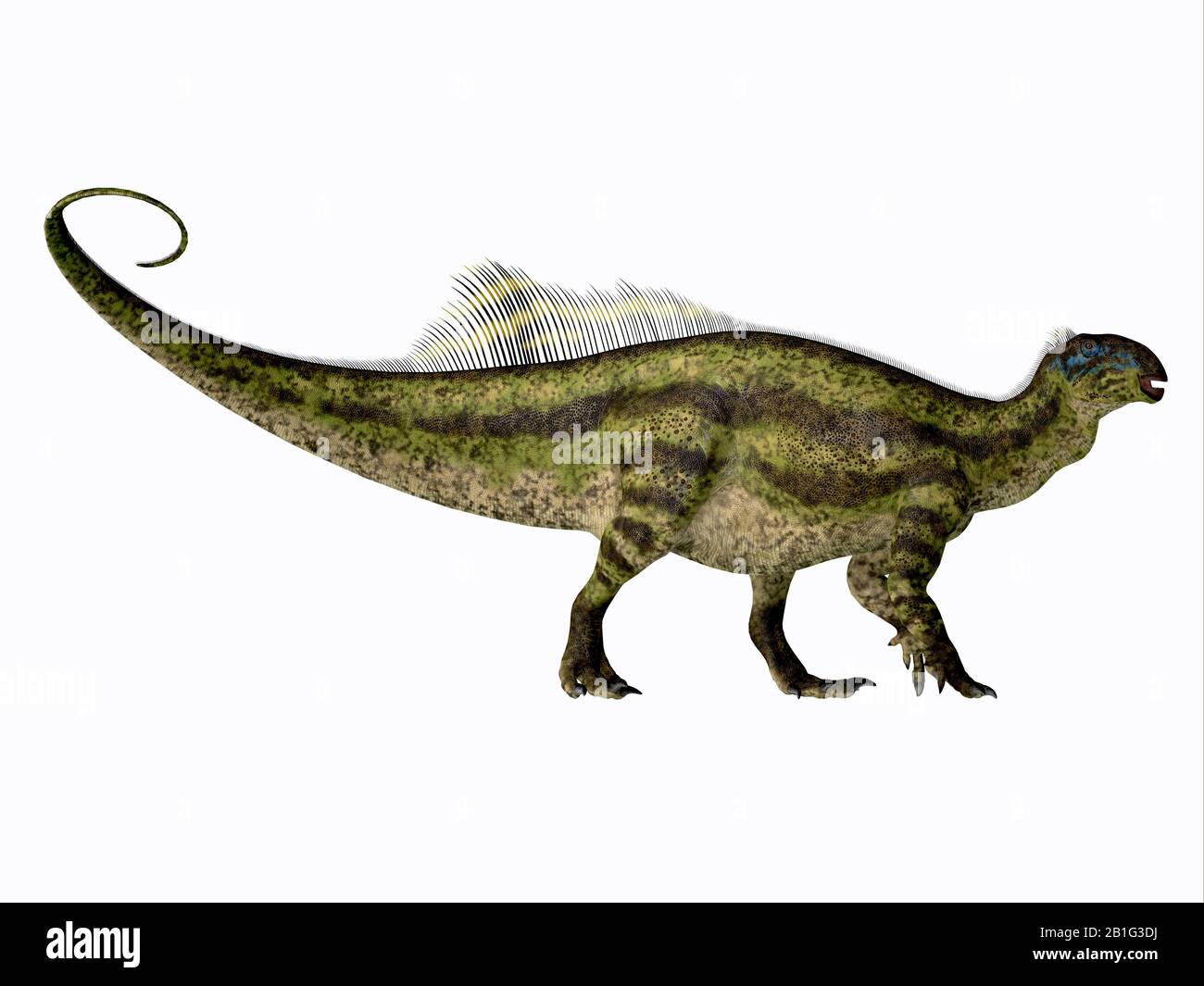 Tenontosaurus tilletti Fotos und Bildmaterial in hoher Auflösung Alamy