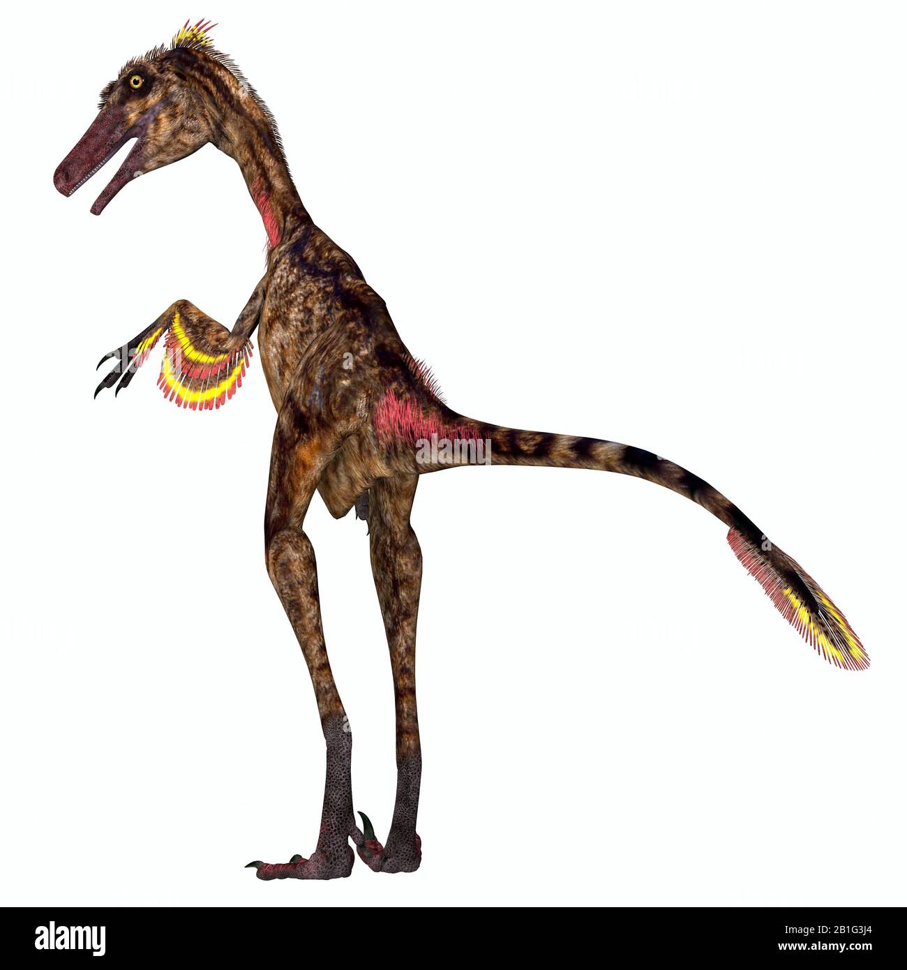 Gefiederter Dinosaurier Stockfotos Und Bilder Kaufen Alamy