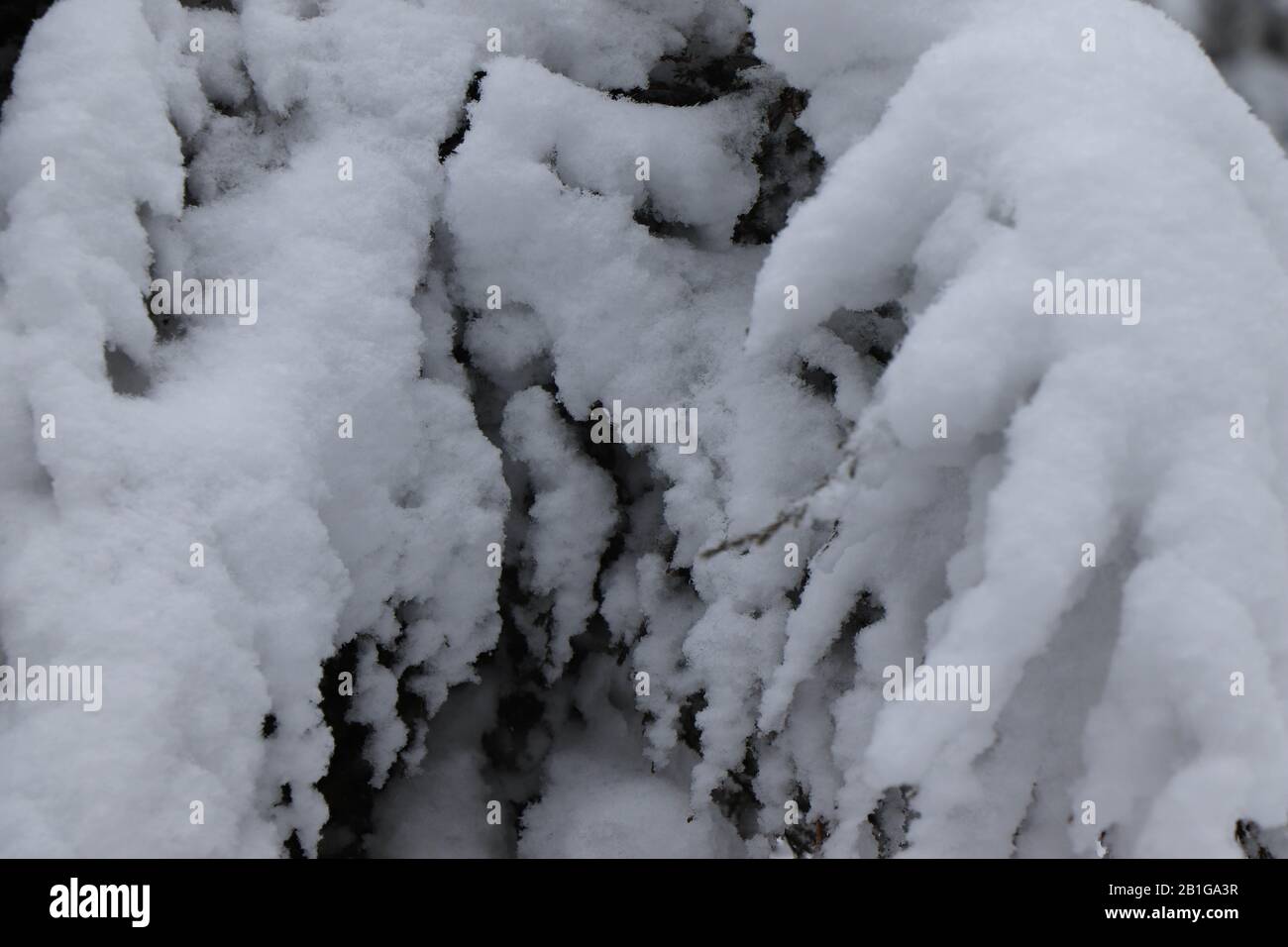 Schneebedeckte Winterszene. Stockfoto