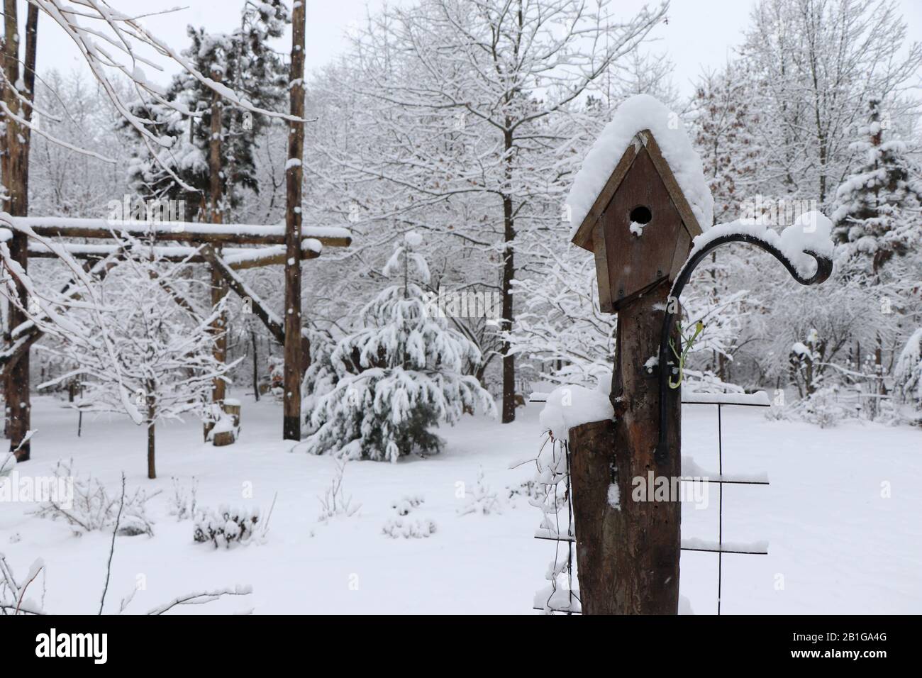 Schneebedecktes Vogelhaus. Stockfoto