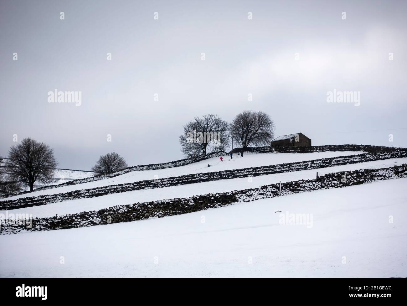 Schneetag in Wensleydale, Yorkshire Dales Stockfoto