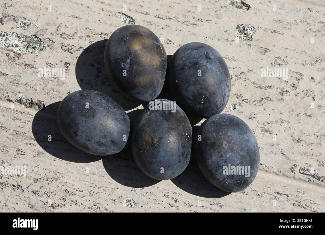 Fünf japanische, schwarz gekochte Eier Stockfoto