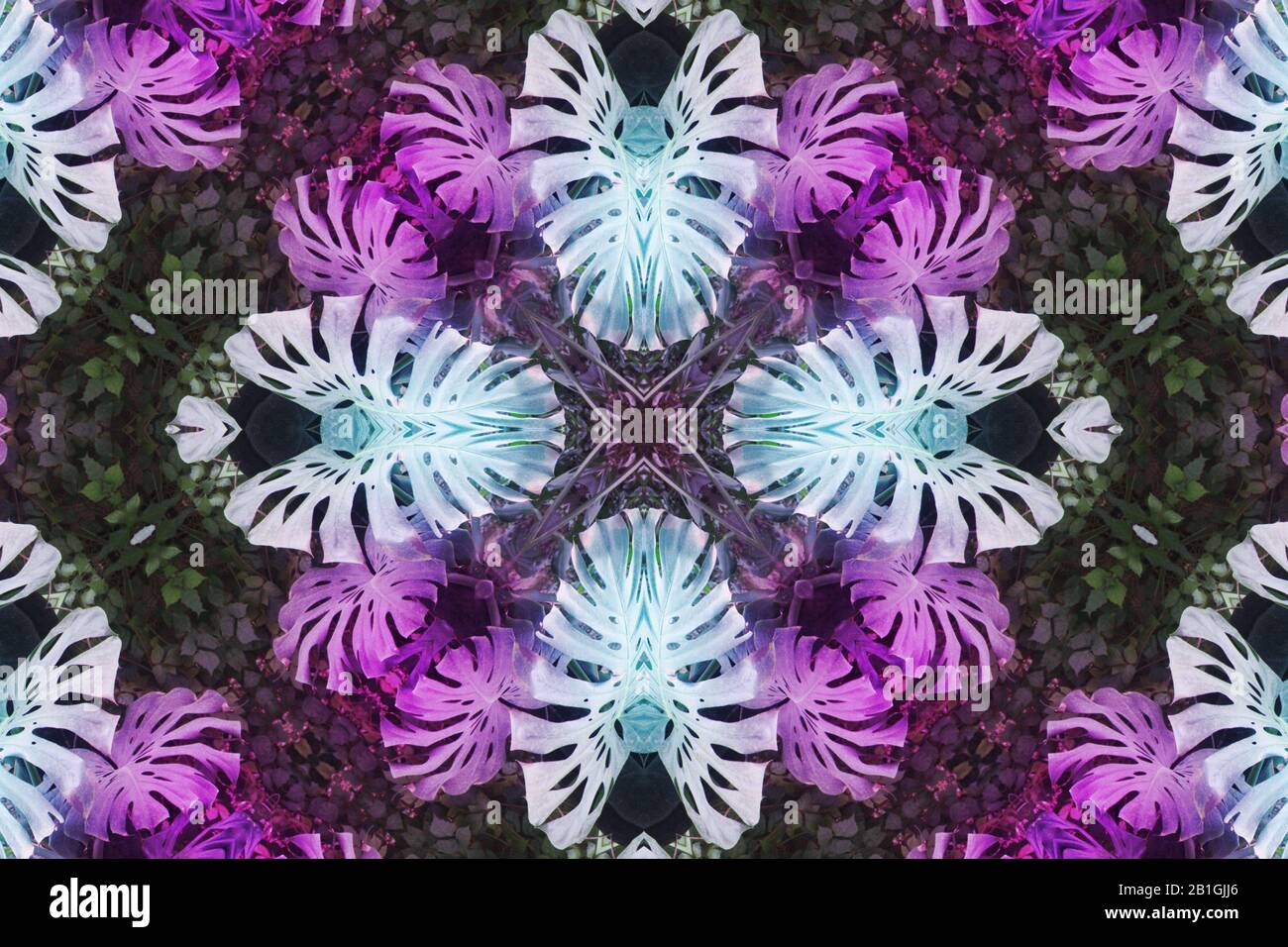 Verschwommene Symmetrie Blumen, Mandala, Kaleidoskop und Design Muster abstrakter Hintergrund Stockfoto