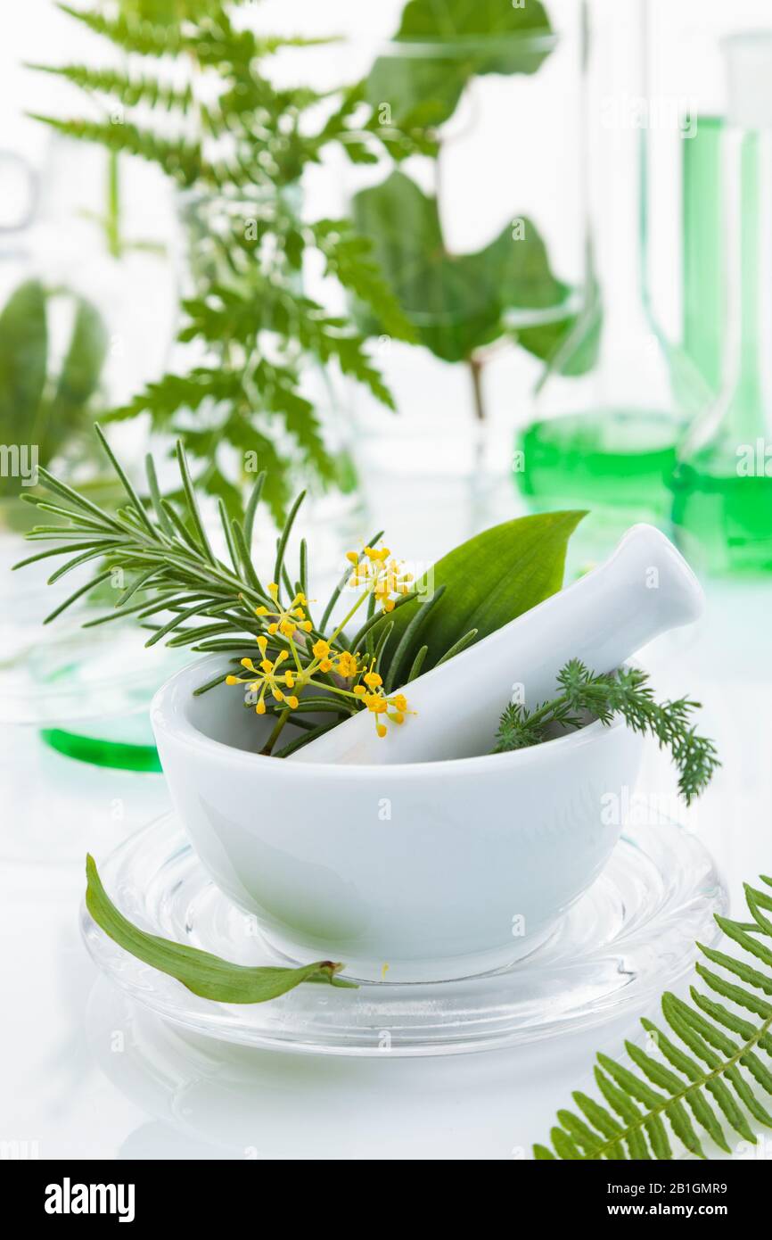 Mörser und Stößel mit Kräutern auf einem Labortisch. Stockfoto