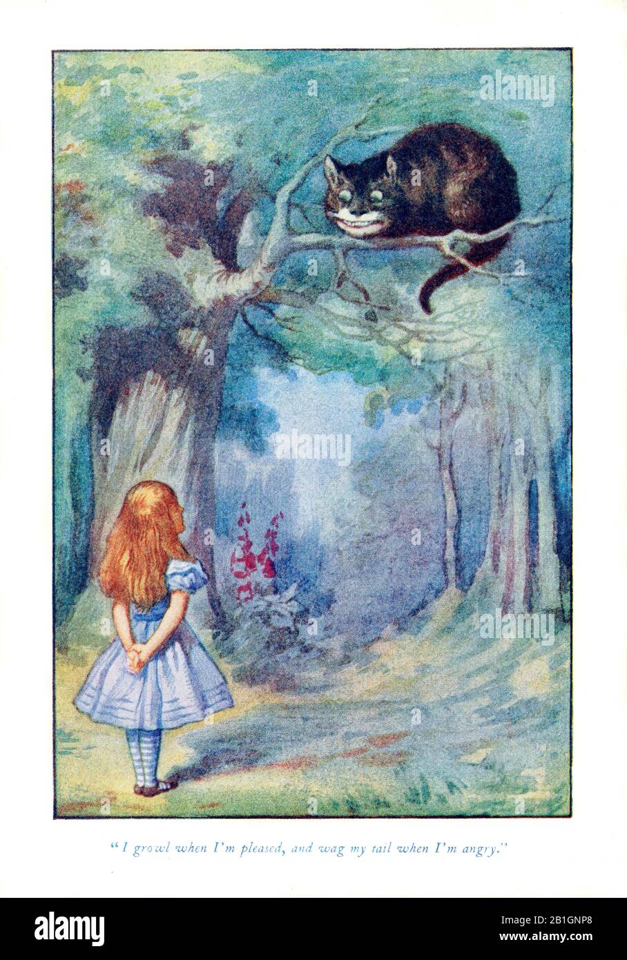 Ich knurrte, wenn ich mich über Alice im Wunderland von John Tenniel freue Stockfoto