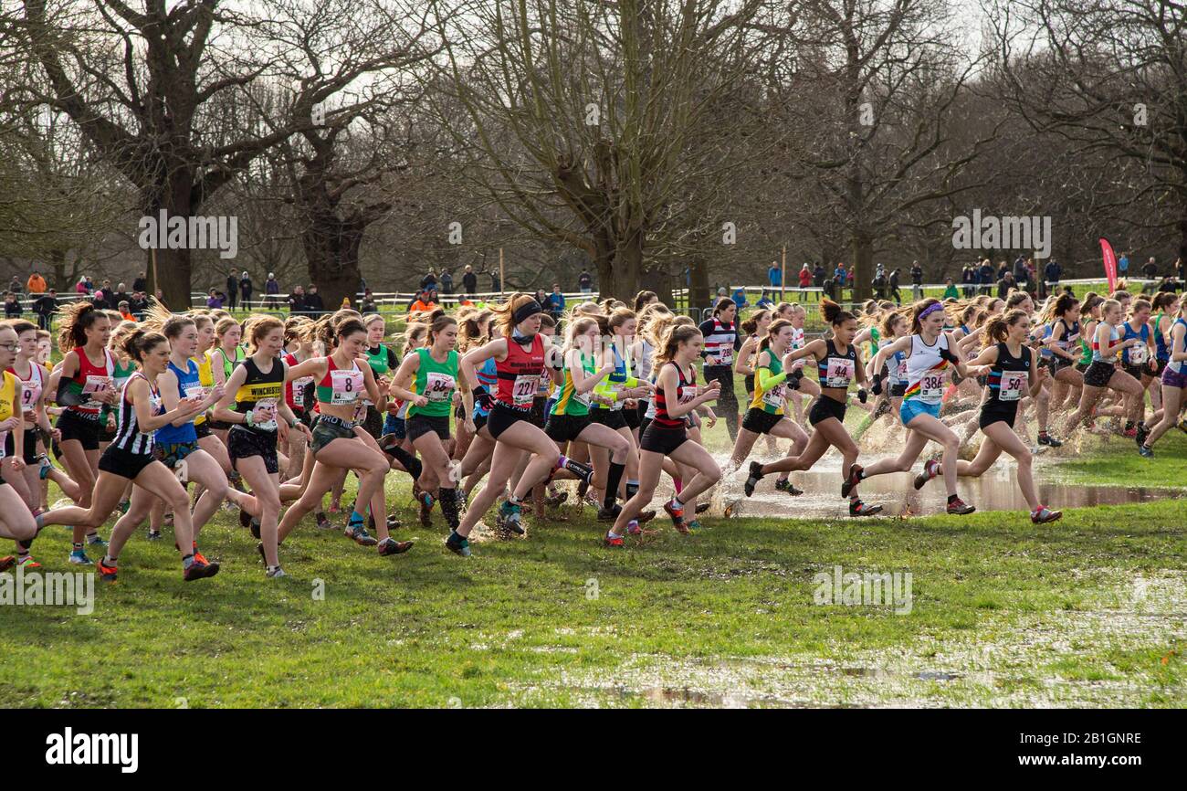 Nottingham - ENGLAND - 22. FEBRUAR: U17-Rennen Der Frauen Englische nationale Cross-Country-Meisterschaften, Wollaton Park, Nottingham, England am 22. Februar Stockfoto