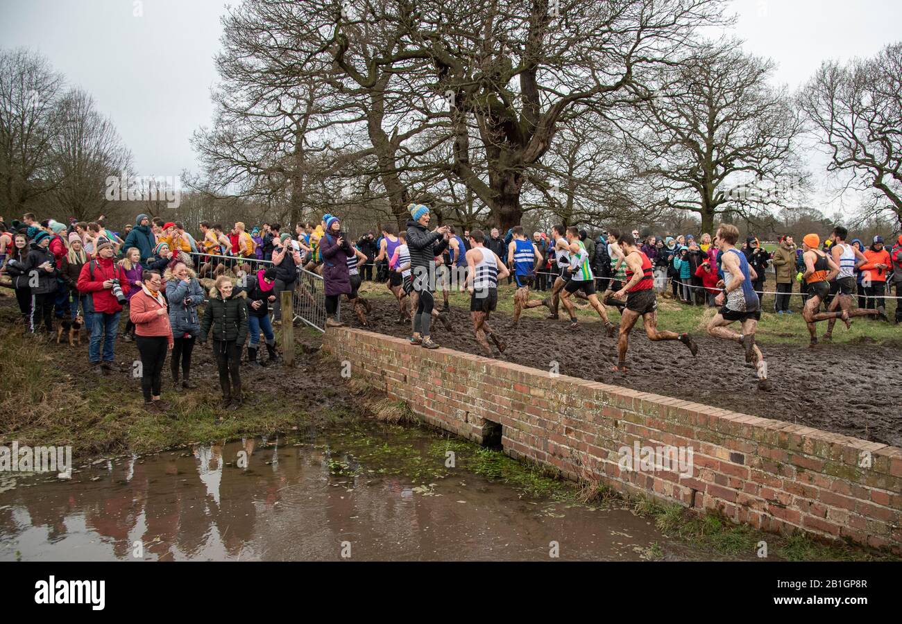 Nottingham - ENGLAND - 22. FEBRUAR: Zuschauer beobachten das Senioren-Rennen der Herren bei den English National Cross Country Championats, Wollaton Park, Nottingh Stockfoto