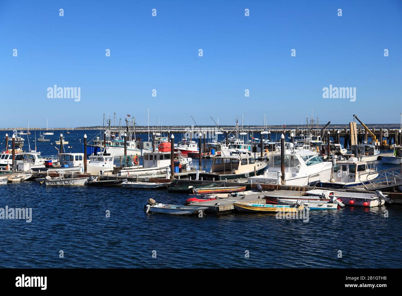 Hafen, Marina, Cape Cod Bay, Provincetown, Cape Cod, Massachusetts, Neuengland, USA Stockfoto