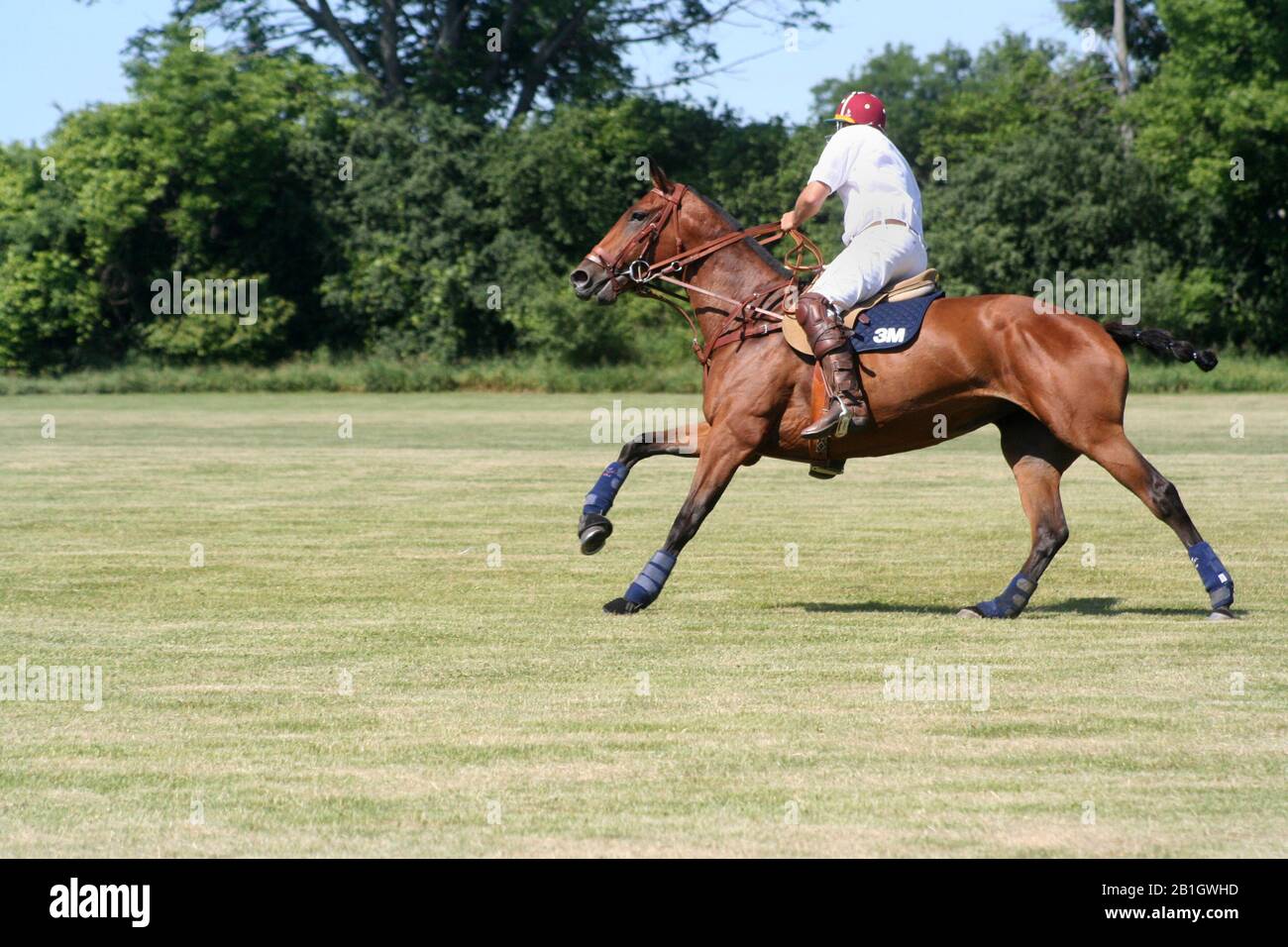 Polo-Match in Port Hope Ontario Stockfoto