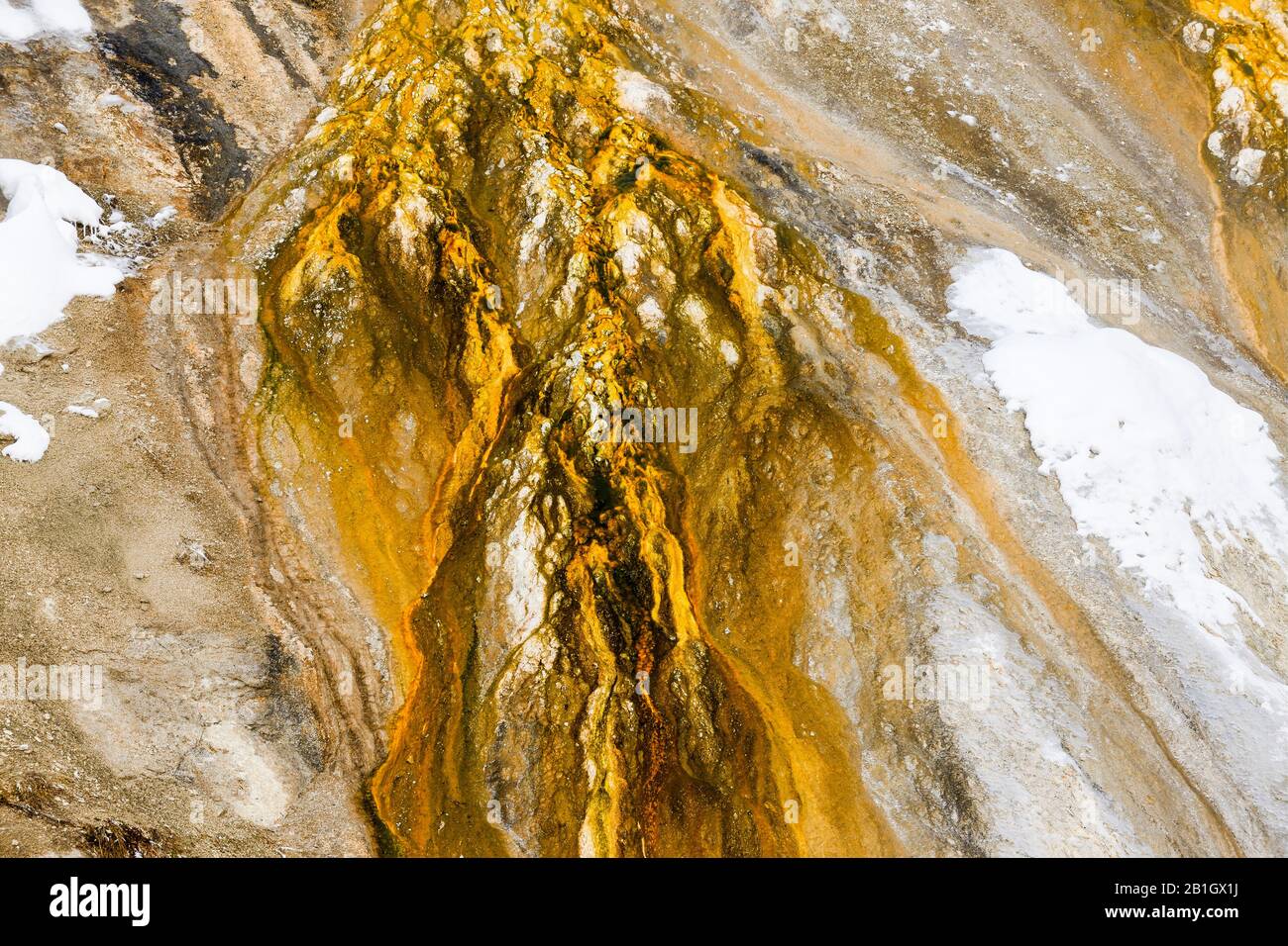 Geyser Hill Old Faithfull, USA, Wyoming, Yellowstone National Park Stockfoto