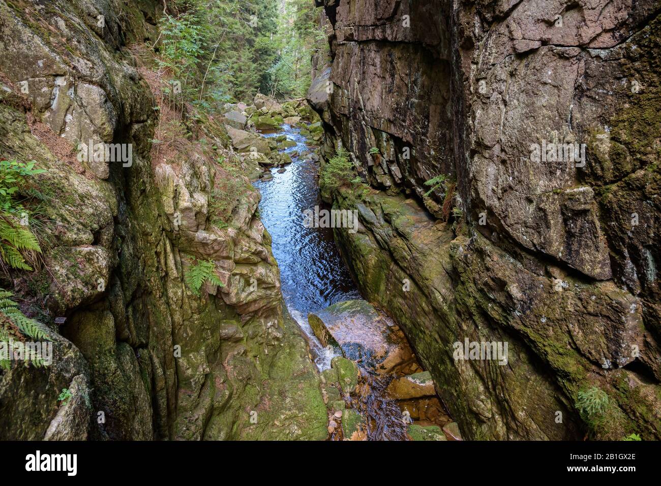 Schlucht des Flusses Kamienczyk im polnischen Riesengebirge Stockfoto