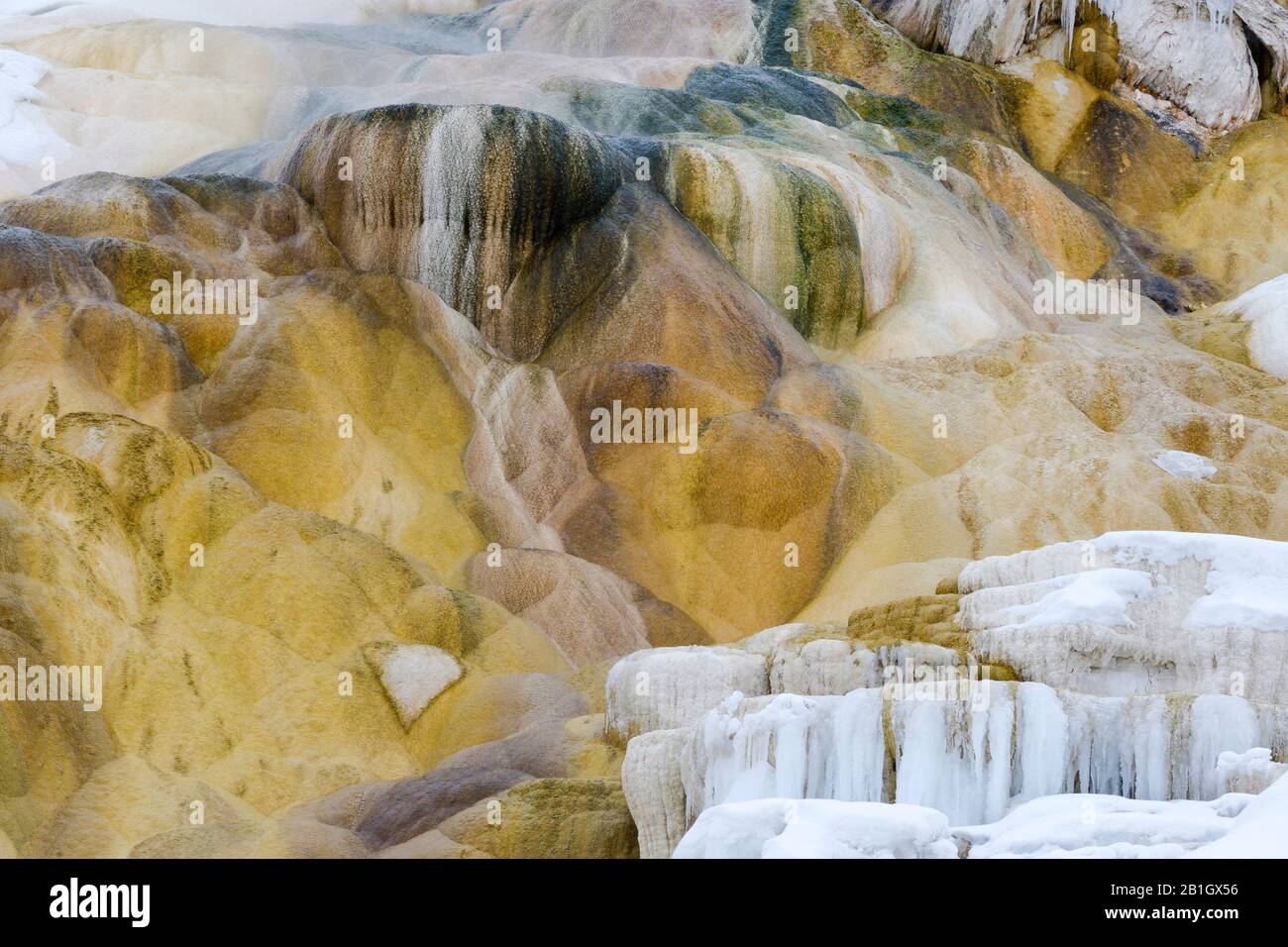 Kalziumkarbonat im Mammoth Hotsprings Lower Terrace, USA, Wyoming, Yellowstone National Park Stockfoto