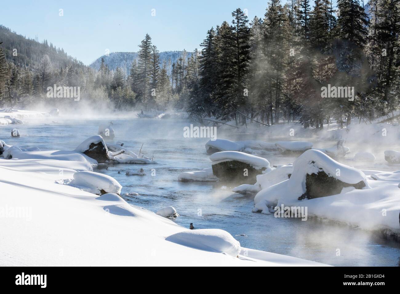 Madison River Steaming, USA, Wyoming, Yellowstone National Park Stockfoto