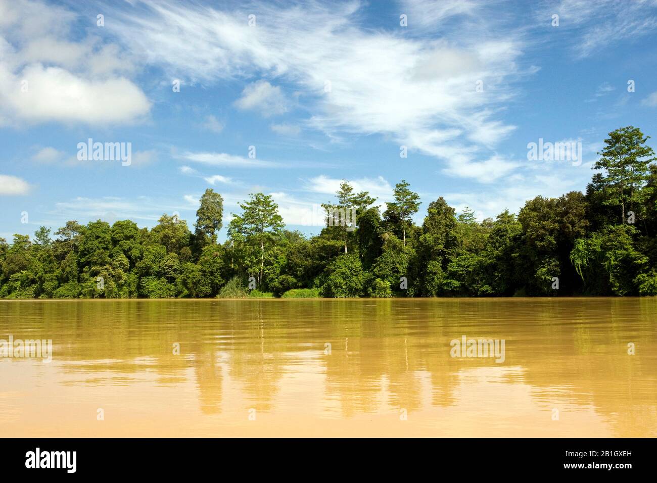 Kinabatangan River, Malaysia, Borneo Stockfoto