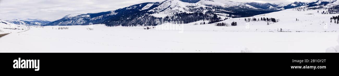 Lamar Valley im Yellowstone National Park, USA, Wyoming, Yellowstone National Park, Lamar Valley Stockfoto