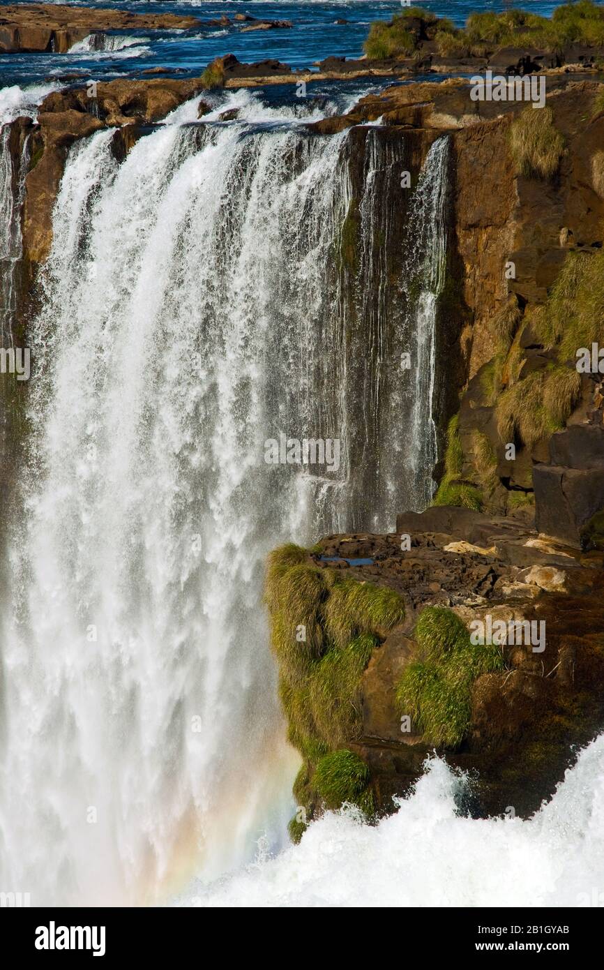 Iguazu-Fälle, Argentinien, Iguazu-Nationalpark Stockfoto