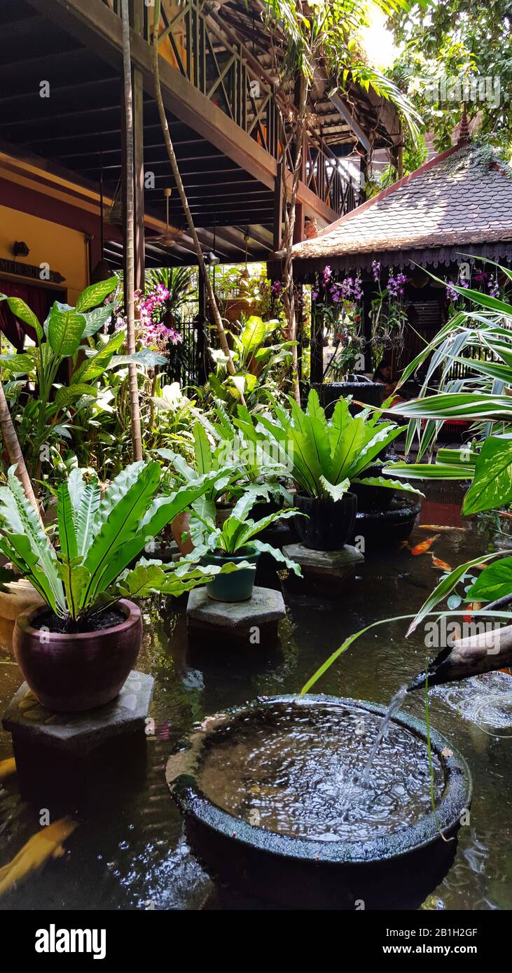 Kambodscha, Phnom Phen - März 2016: Traditioneller Wassergarten in einem Kambodscha Stockfoto