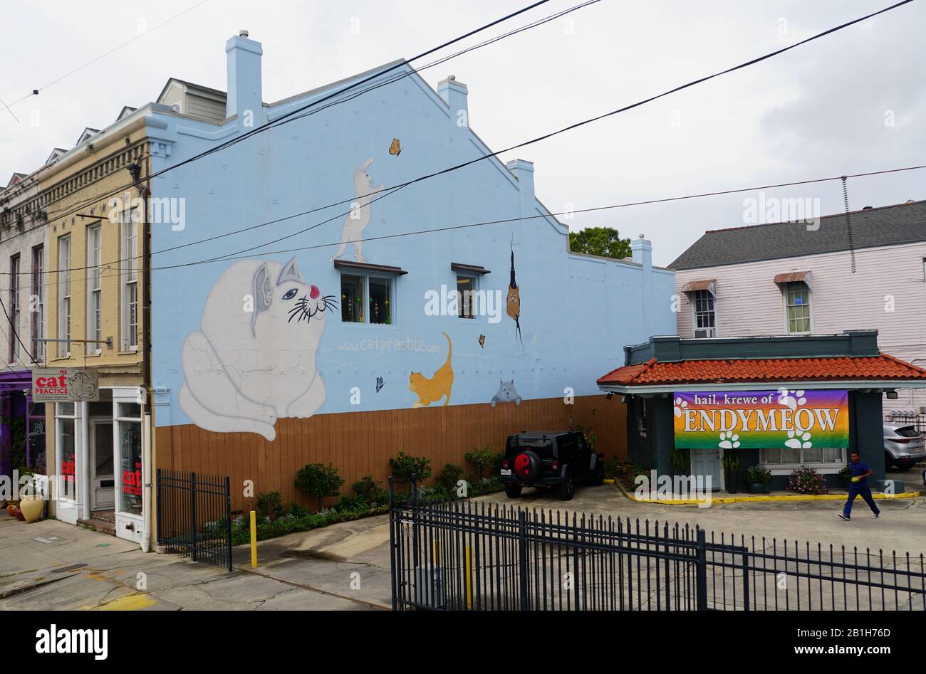 New Orleans, Louisiana, U.S.A - 4. Februar 2020 - Endymeow, tierärztliches Katzenkrankenhaus in der Magazine Street am Garden District Stockfoto