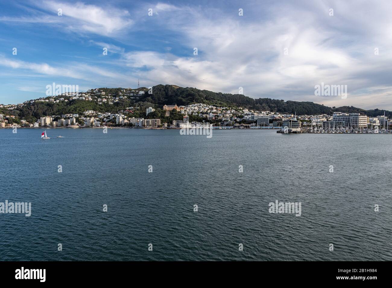 Wellington mit Blick auf den Jachthafen und die Oriental Bay von der Fähre Stockfoto