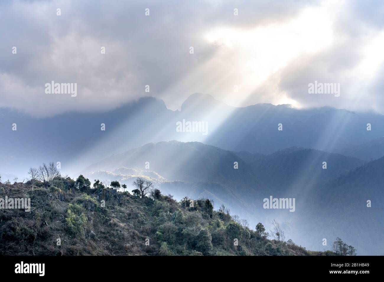 Sonnenstrahlen auf einem Bergwald in Sapa, Vietnam Stockfoto