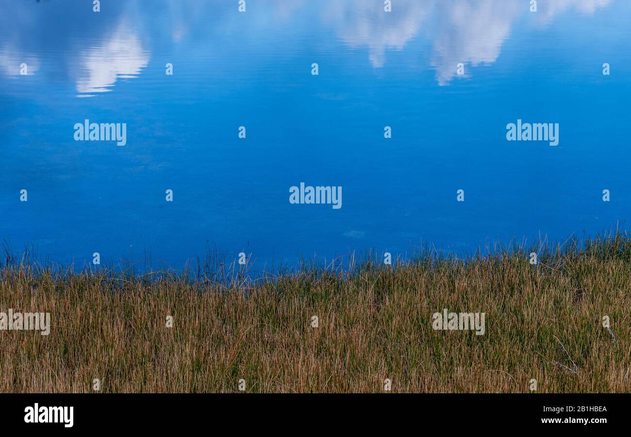 Grasbewachsenes Ufer neben dem blauen See, der den Himmel und weiße flauschige Wolken reflektiert. Stockfoto
