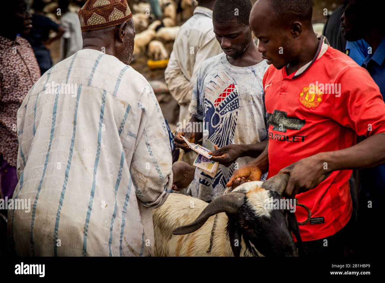 RAM-Verkauf auf dem Markt in Abuja, Nigeria. In Nigeria entspringen dergleichen RAM-Märkte in der Regel Wochen oder Tage vor Eid-Feiern in der Nähe wichtiger Straßen. Stockfoto