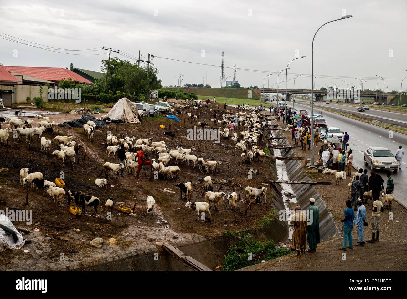 RAM-Markt in Abuja, Nigeria. In Nigeria entspringen dergleichen RAM-Märkte in der Regel Wochen oder Tage vor Eid-Feiern in der Nähe wichtiger Straßen. Stockfoto