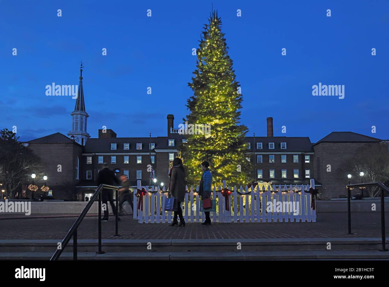 Käufer gehen an einem Weihnachtsbaum am Marktplatz in der King Street vorbei, einer der Hauptverkehrsstraßen in Der Altstadt Stockfoto