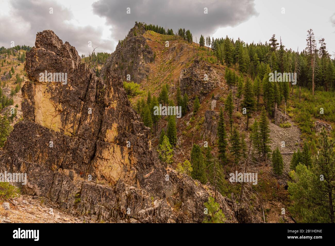 Gebirgszug im Kiefernwald in Idaho. Stockfoto