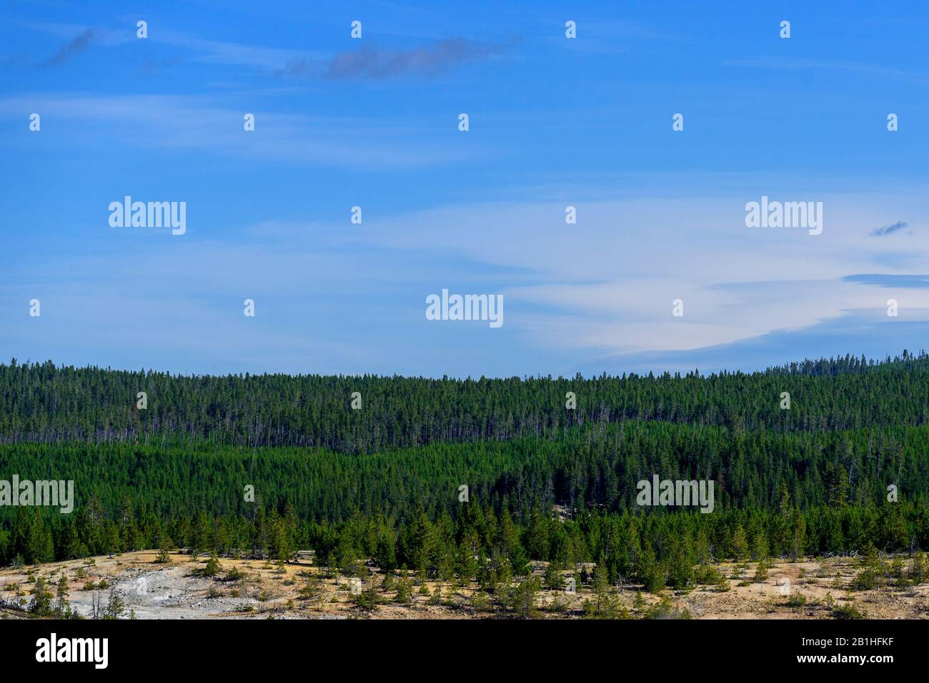 Grün bewaldeten Hügel unter einem blauen Himmel. Stockfoto