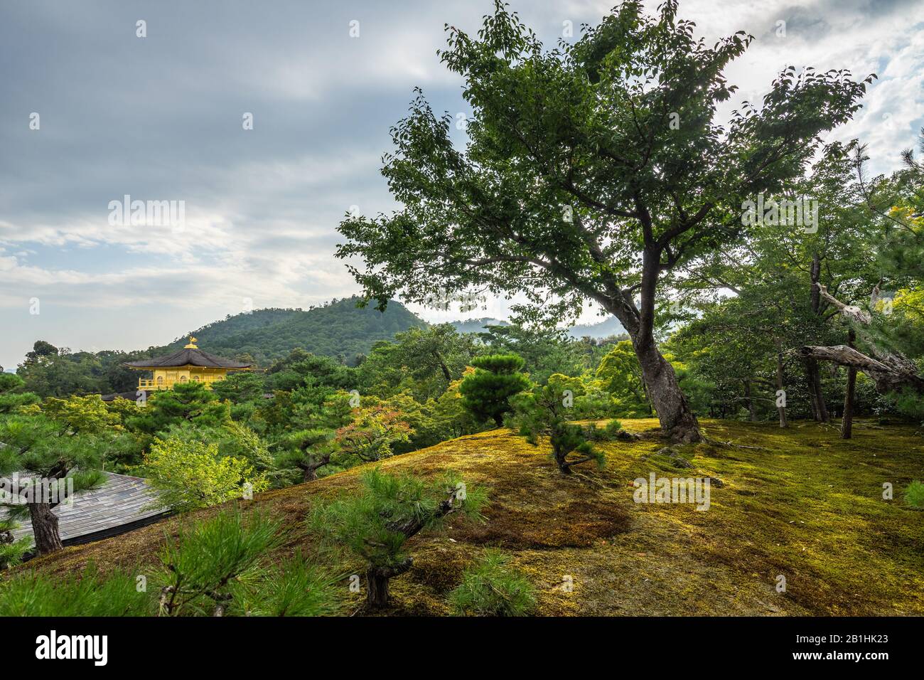 Malerischer Panoramablick auf japanische Gärten des Kinkakuji-Tempels (oder Golden Temple) mit Pagode unter den Bäumen, Kyoto, Japan Stockfoto