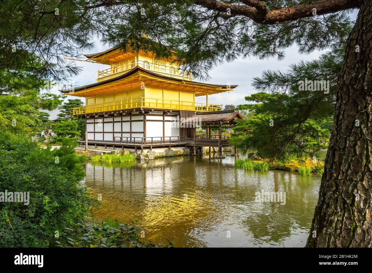 Kinkakuji oder Tempel des Goldenen Pavillons von den Bäumen des japanischen Gartens, Kyoto, Japan aus gesehen Stockfoto