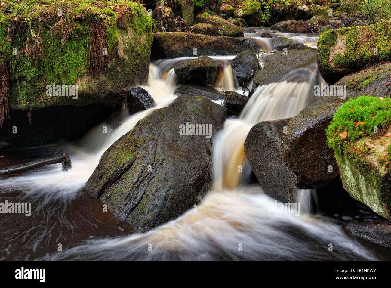 Wyming Brook, Naturreservat, Wasserfallkaskaden, Peak District, Sheffield, England, Großbritannien Stockfoto