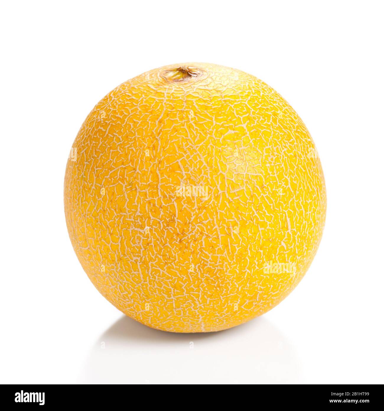 Single Cantaloupe Melon isoliert auf weißem Hintergrund Stockfoto
