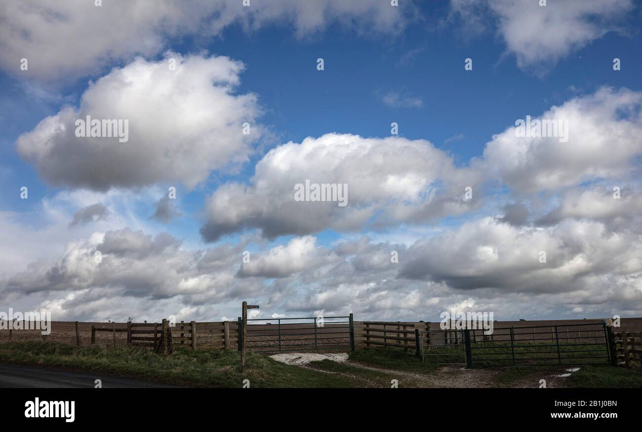 Big Blue Skies and White Fluffy Clouds und eine Fantastische Aussicht im Steyning Bowl im Februar im South Downs National Park West Sussex Stockfoto