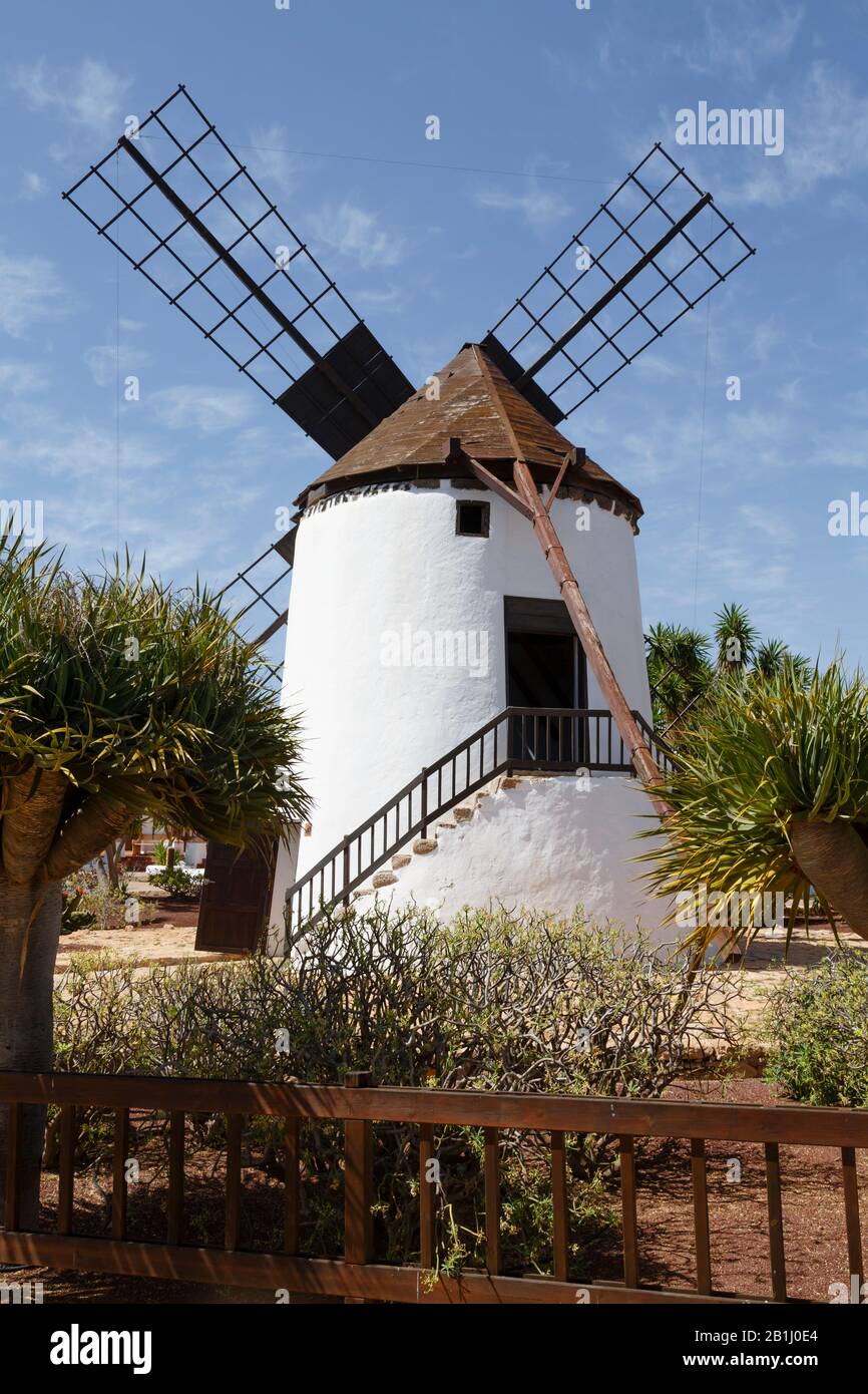 Traditionelle spanische Windmühle Molino de Antigua auf Fuerteventura, Kanarische Inseln Stockfoto