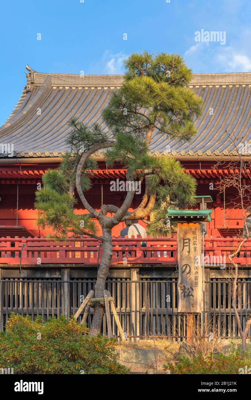 Ueno, japan - 02. januar 2020: Japanische Pinienband mit Burlap, die sie in einen Kreis bindet, der den Mond in der Kiyomizu Kannon Halle des Ueno Parks beschwört, Stockfoto