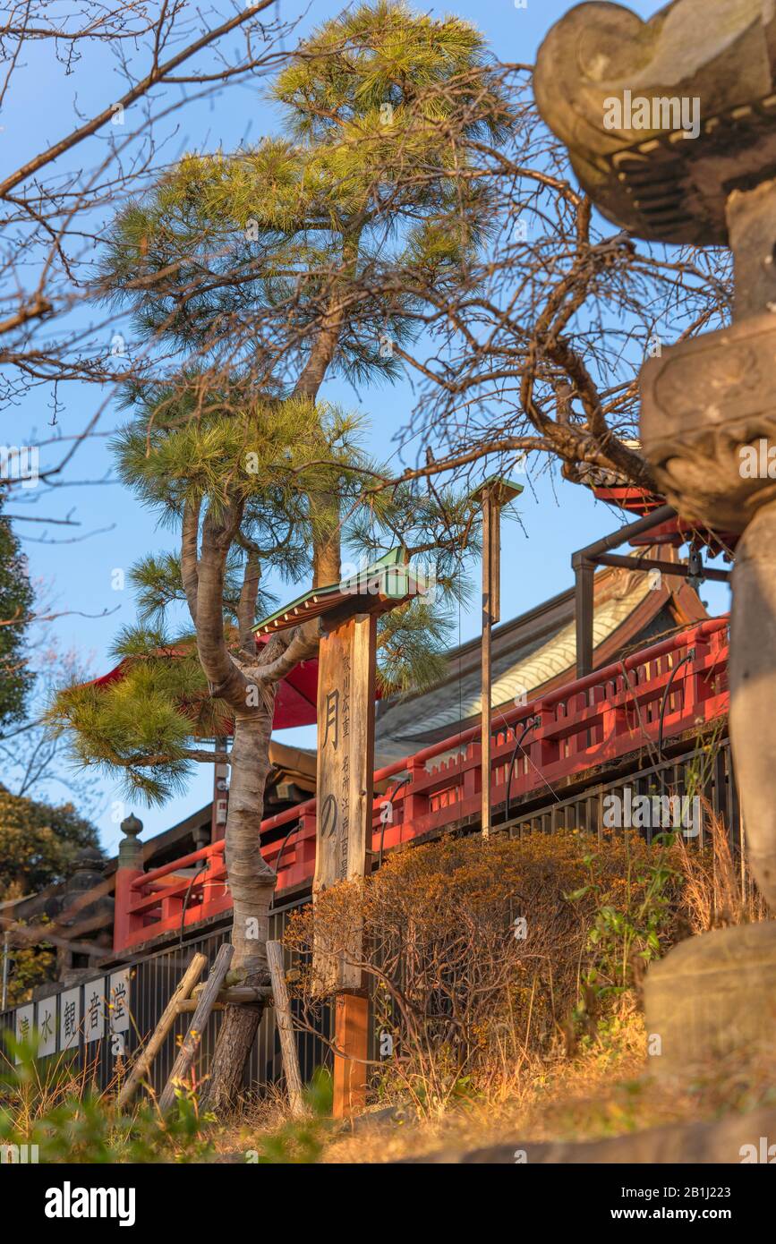 Ueno, japan - 02. januar 2020: Japanische Pinienband mit Burlap, die sie in einen Kreis bindet, der den Mond in der Kiyomizu Kannon Halle des Ueno Parks beschwört, Stockfoto