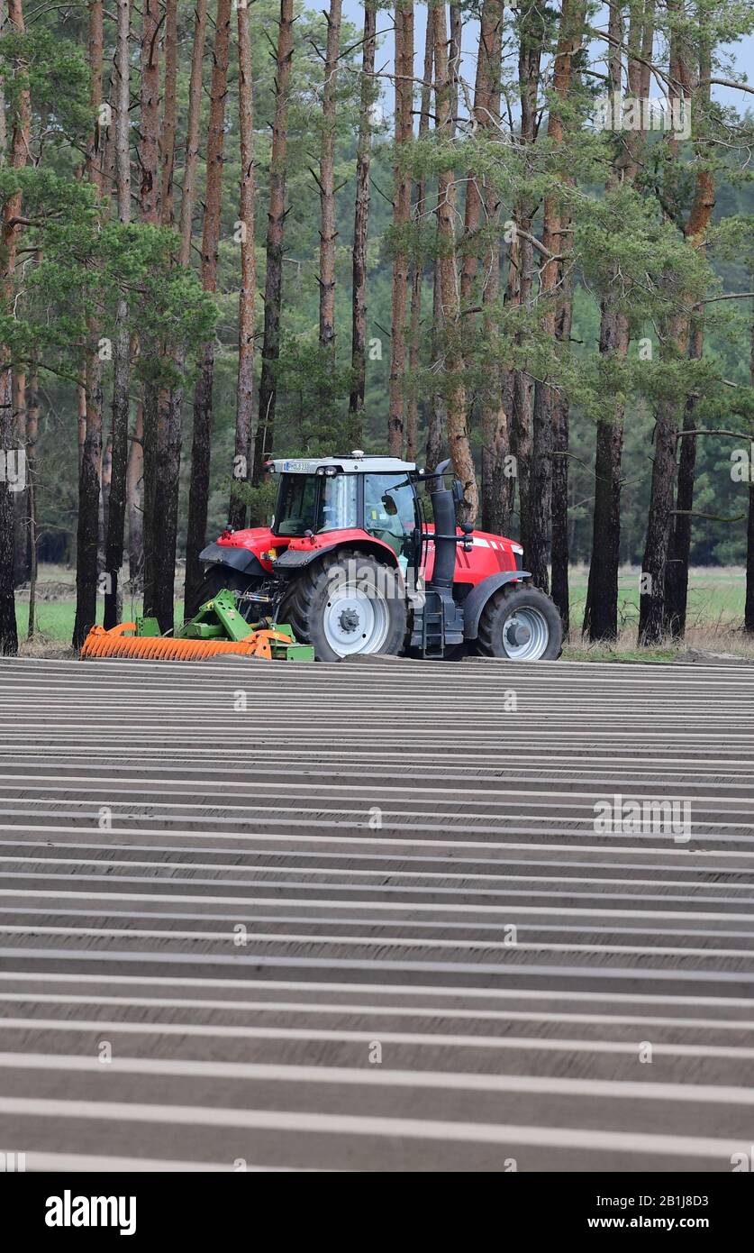 Brandenburg, Deutschland. Februar 2020. Neben der zum Emstal führenden Landstraße L88 wurde ein Spargelfeld angelegt. Die Spargelriegel wurden mechanisch mit einem Gratschneider von Traktor erzeugt. Nach dem Anhäufen sind die Dämme mit Folie bedeckt, die eine weiße Seite zum Kühlen und eine schwarze Seite zum Erhitzen hat. Foto: Soeren Stache / dpa-Zentralbild / ZB Credit: Dpa Picture Alliance / Alamy Live News Stockfoto
