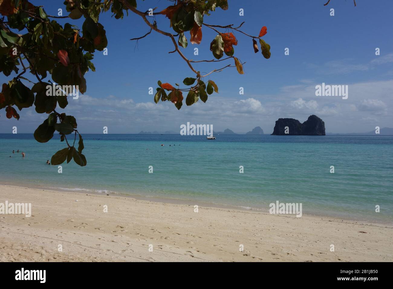 Koh Ngai Island (Koh Hai) Ostrand in der Nähe von Koh Lanta in der Provinz Krabi in Thailand mit weißem Strand, blauem türkisfarbenem Meer, Ästen eines Baumes Stockfoto