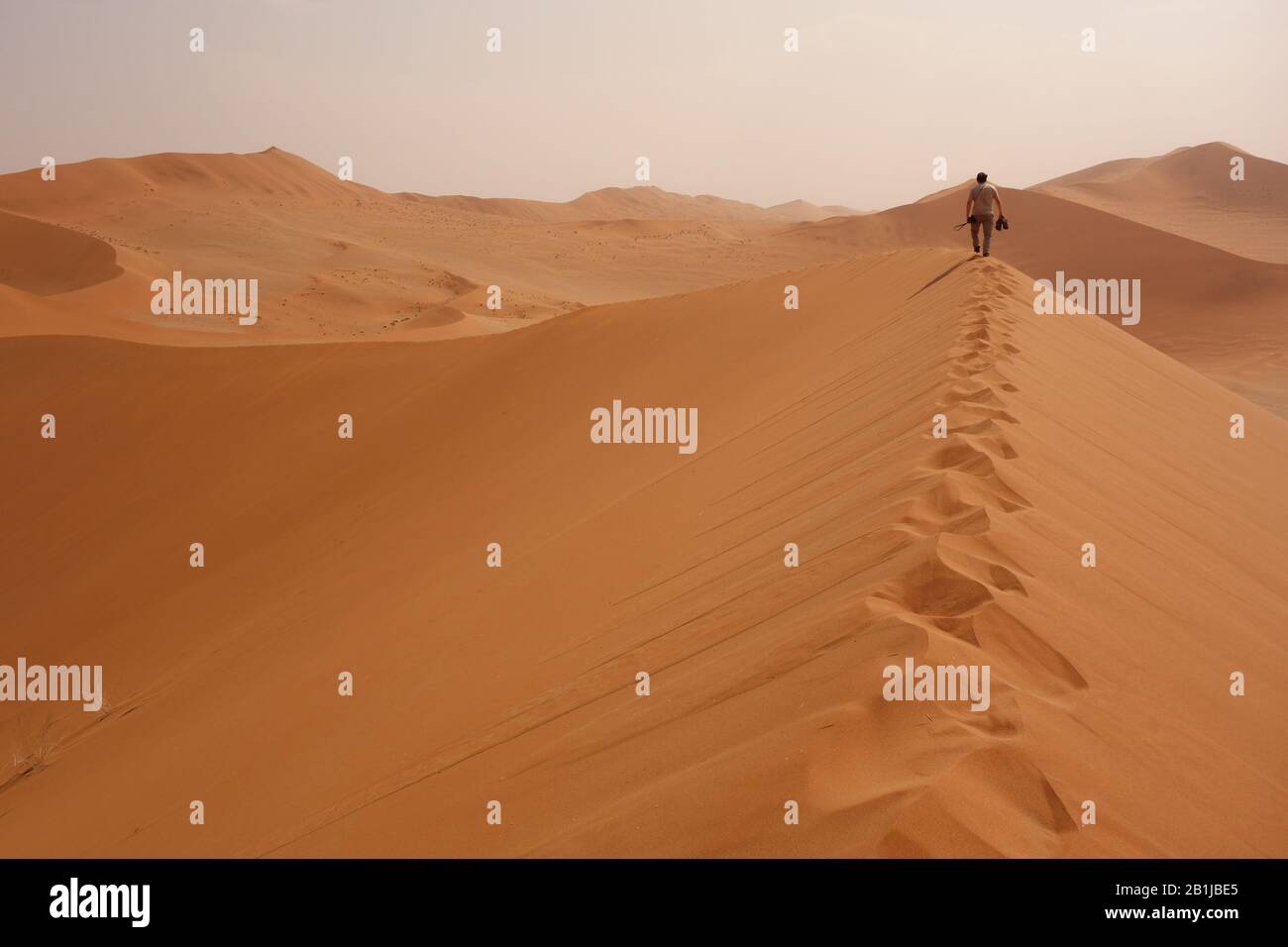 Sossusvlei Rotsanddünen-Wüste in Namibia - man/Tourist, der auf dem Gipfel entlang der Sanddüne spazieren geht und einen Pfad mit Fußabdruck hinter sich lässt. Stockfoto