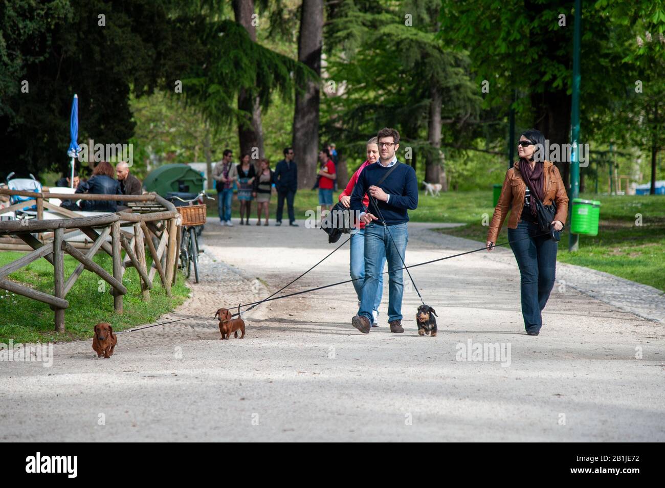 Menschen, die Hunde in einem Park in Mailand, Italien, spazieren gehen Stockfoto