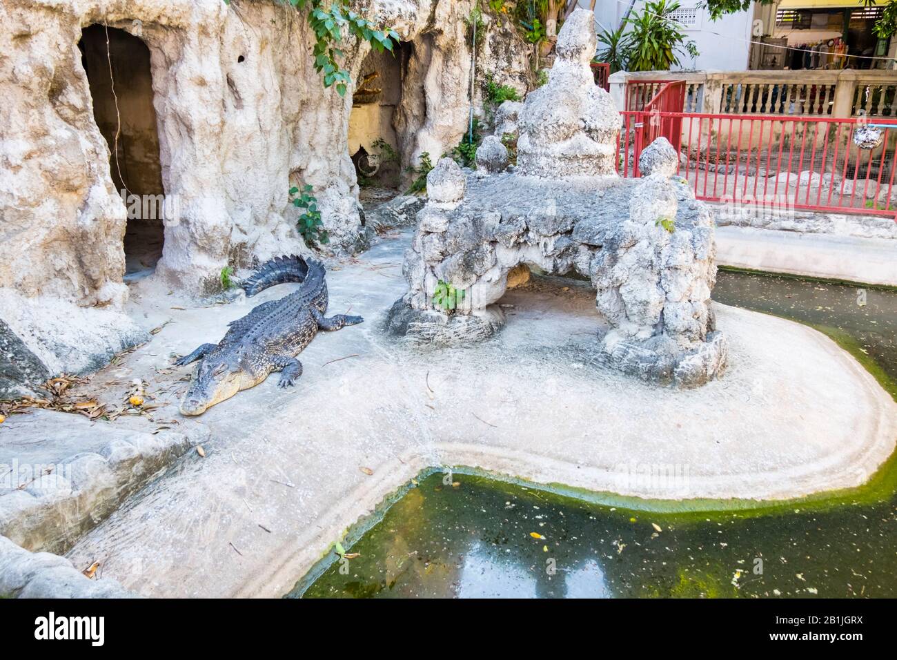 Krokodil, Wat Chakrawatrachawat Woramahawihan, Bangkok, Thailand Stockfoto