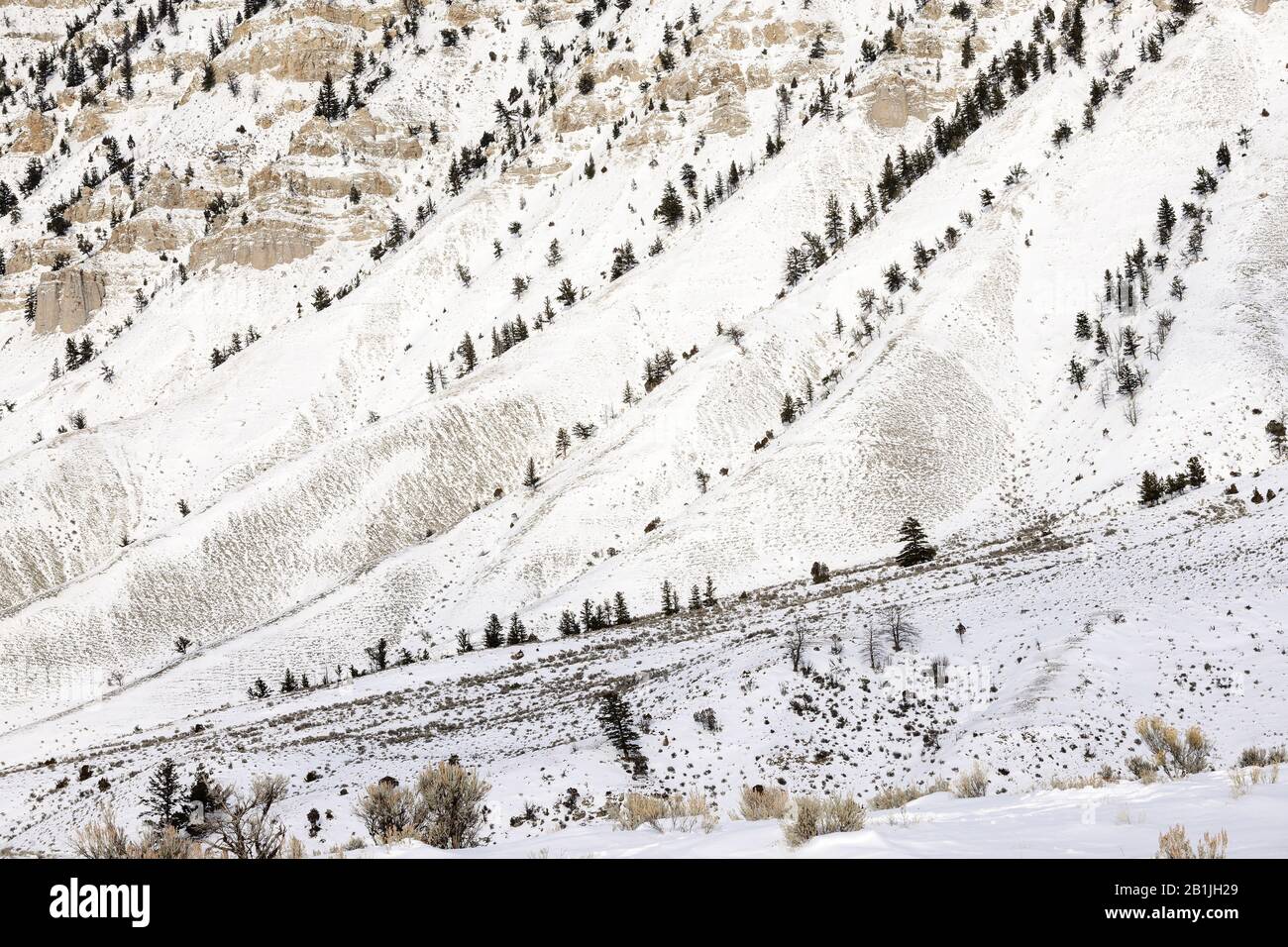 Schnee zu Fuß Mount Everts, Lamar Valley, USA, Wyoming, Yellowstone National Park, Lava Creek Stockfoto
