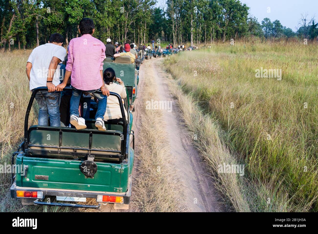 Jeeps mit Touristen und ihren Führern, die auf Tigers am überfüllten Ort in Bandhavgarh, indien während einer Tigersafari, Indien, Madhya Pradesh, Bandhavgarh National Park warten Stockfoto