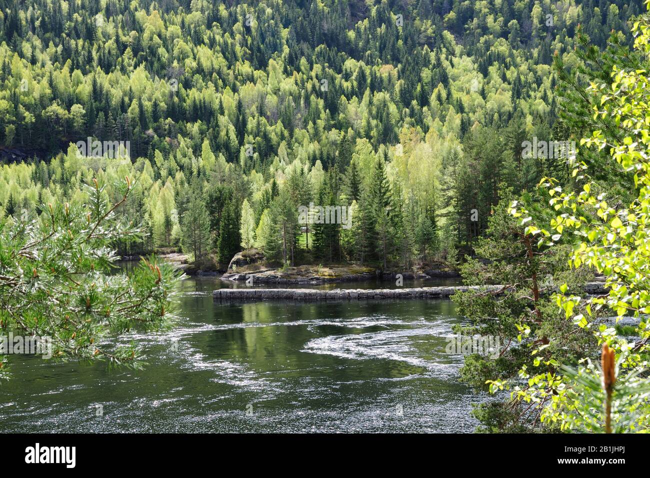 Byglandsfjord im Frühjahr, Norwegen, Setesdal, Bygland Stockfoto