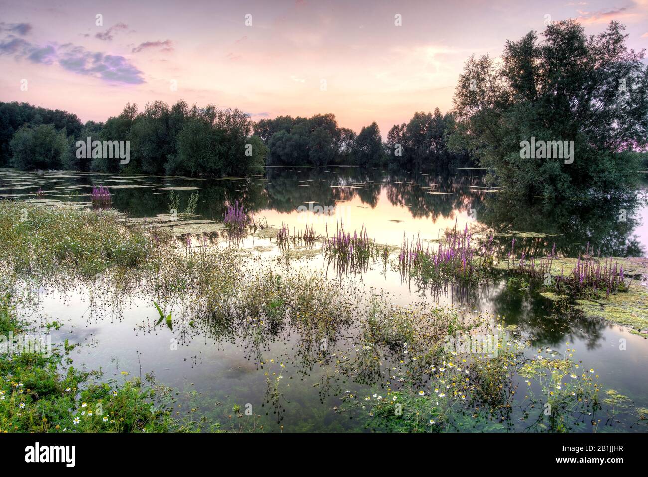 Sonnenuntergang am Fluss IJssel, Niederlande Stockfoto