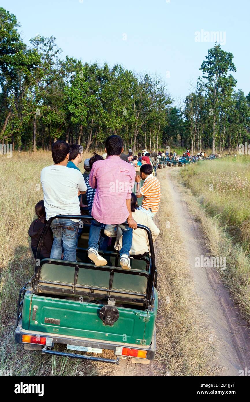 Jeeps mit Touristen und ihren Führern, die auf Tigers am überfüllten Ort in Bandhavgarh, indien während einer Tigersafari, Indien, Madhya Pradesh, Bandhavgarh National Park warten Stockfoto